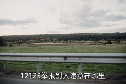 交通違章舉報平臺，12123舉報別人違章在哪里