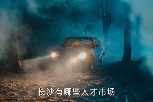 長沙有哪些人才市場