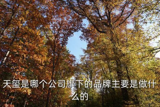 上海天璽，天璽是哪個公司旗下的品牌主要是做什么的