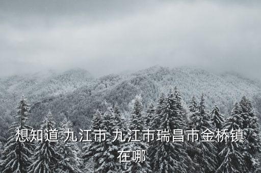 金橋鎮(zhèn)，金橋鎮(zhèn)哪里比較熱鬧就是像服裝一條街或美食一條街之類的