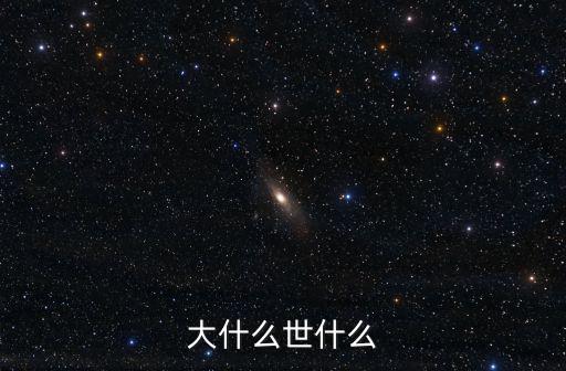 大什么世什么