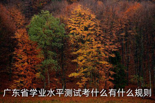 廣東省學業(yè)水平測試考什么有什么規(guī)則