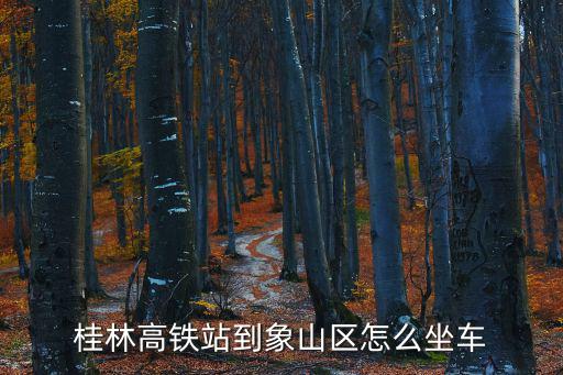 桂林高鐵站到象山區怎么坐車