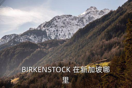 BIRKENSTOCK 在新加坡哪里