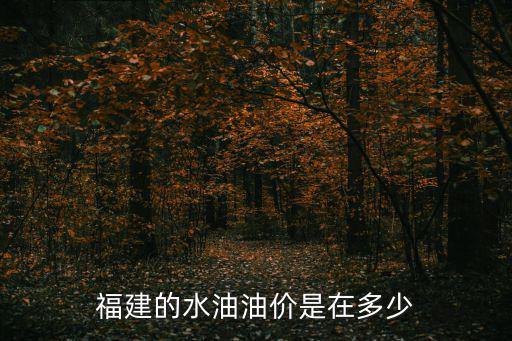 福建的水油油價是在多少