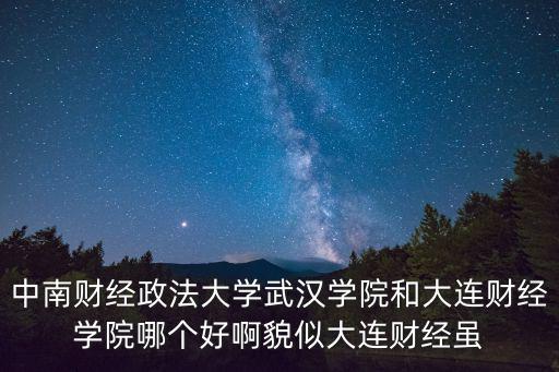 中南財經政法大學武漢學院和大連財經學院哪個好啊貌似大連財經雖