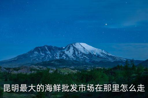 昆明最大的海鮮批發市場在那里怎么走
