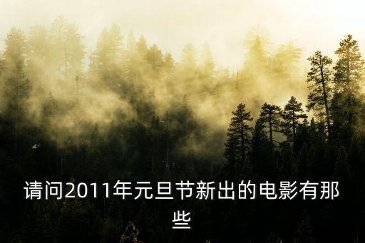 請問2011年元旦節新出的電影有那些