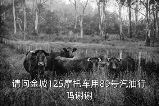 請問金城125摩托車用89號汽油行嗎謝謝
