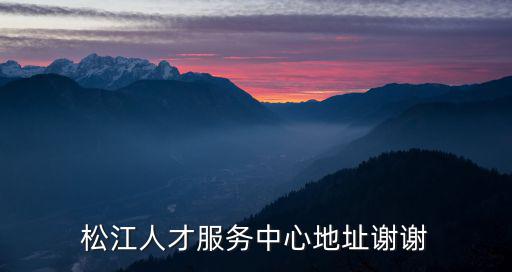松江人才服務(wù)中心地址謝謝