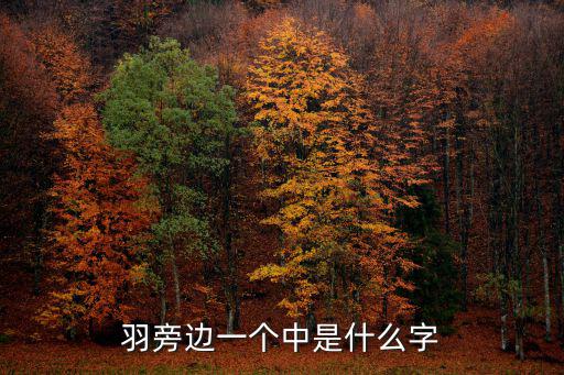 羽旁邊一個(gè)中是什么字