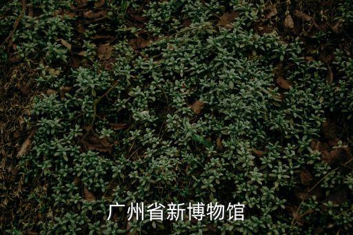 廣州省新博物館