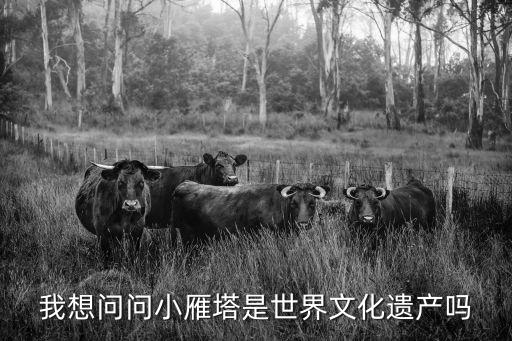 薦福寺，嘉興市薦福寺在哪