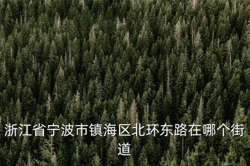 浙江省寧波市鎮海區北環東路在哪個街道