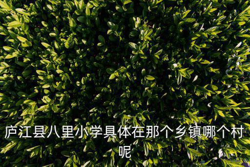 廬江縣八里小學(xué)具體在那個(gè)鄉(xiāng)鎮(zhèn)哪個(gè)村呢