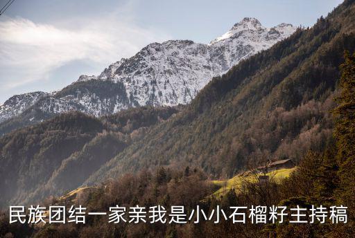 民族團(tuán)結(jié)一家親我是小小石榴籽主持稿