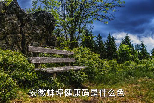 安徽蚌埠健康碼是什么色