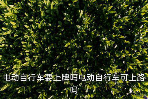 電動自行車要上牌嗎電動自行車可上路嗎