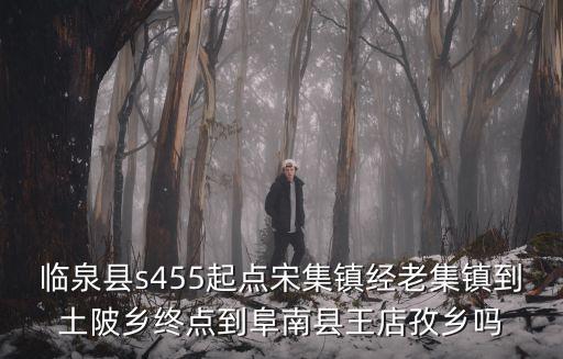 臨泉縣s455起點宋集鎮經老集鎮到土陂鄉終點到阜南縣王店孜鄉嗎