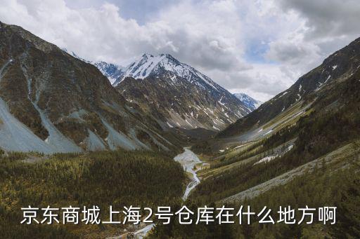 京東商城上海2號倉庫在什么地方啊