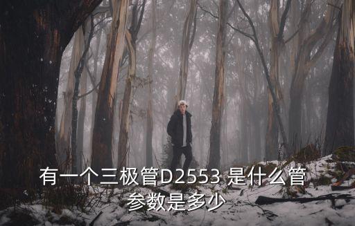 有一個三極管D2553 是什么管 參數是多少