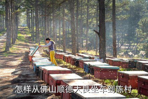 怎樣從佛山順德大良坐車到陳村