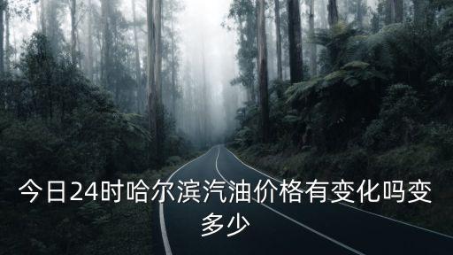 今日24時哈爾濱汽油價格有變化嗎變多少