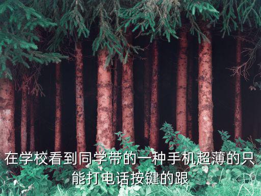 在學校看到同學帶的一種手機超薄的只能打電話按鍵的跟