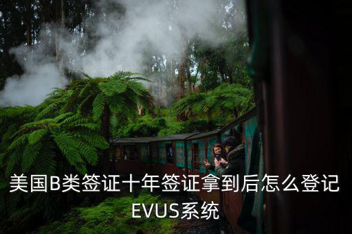 美國B類簽證十年簽證拿到后怎么登記EVUS系統(tǒng)
