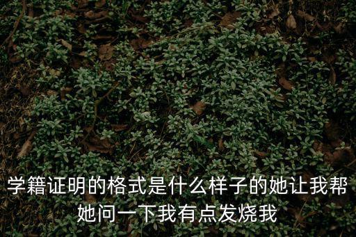 學籍證明的格式是什么樣子的她讓我幫她問一下我有點發燒我