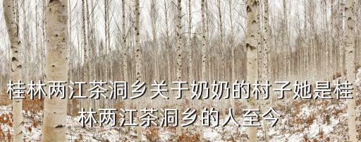桂林兩江茶洞鄉關于奶奶的村子她是桂林兩江茶洞鄉的人至今