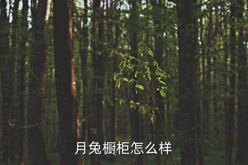 月兔櫥柜怎么樣