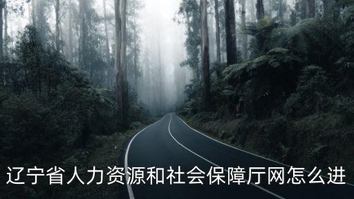 遼寧省人力資源和社會保障廳網怎么進