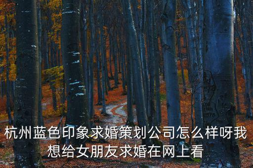 杭州藍色印象求婚策劃公司怎么樣呀我想給女朋友求婚在網上看