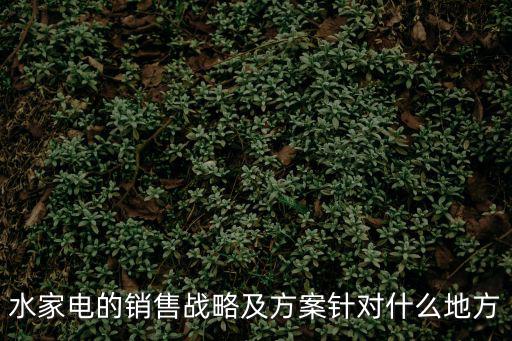 水家電的銷售戰(zhàn)略及方案針對什么地方