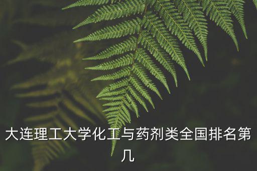 大連理工大學化工與藥劑類全國排名第幾