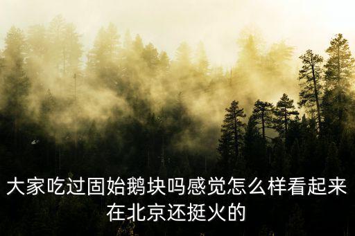 大家吃過固始鵝塊嗎感覺怎么樣看起來在北京還挺火的