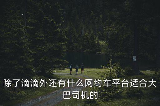 除了滴滴外還有什么網約車平臺適合大巴司機的