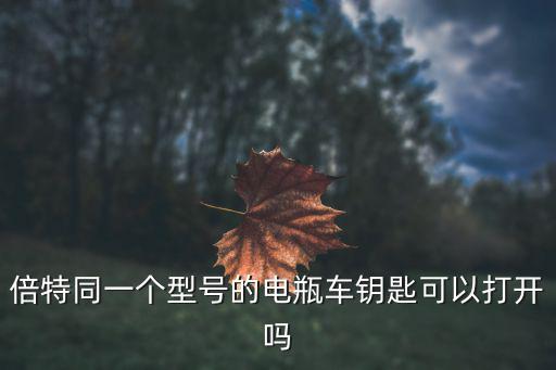倍特電動車官網，倍特電動車tdrq5z栽重包括騎車人