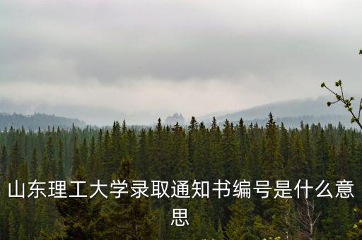 山東理工大學錄取通知書編號是什么意思