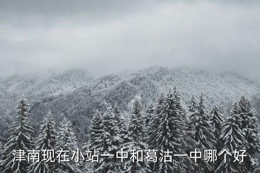 津南現(xiàn)在小站一中和葛沽一中哪個好