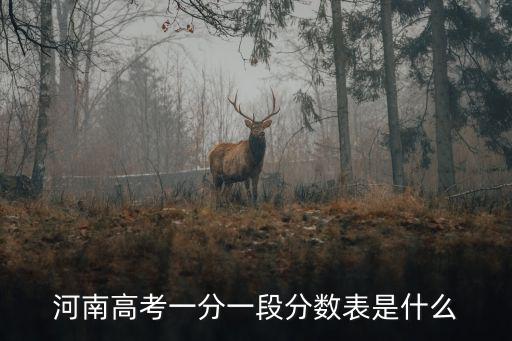 河南高考一分一段表，河南高考一分一段分?jǐn)?shù)表是什么