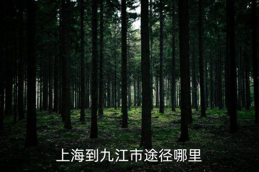 上海到九江市途徑哪里