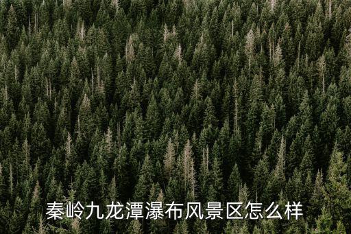 秦嶺九龍?zhí)镀俨硷L景區(qū)怎么樣