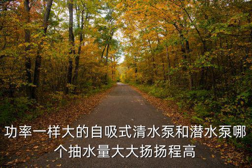 功率一樣大的自吸式清水泵和潛水泵哪個抽水量大大揚揚程高