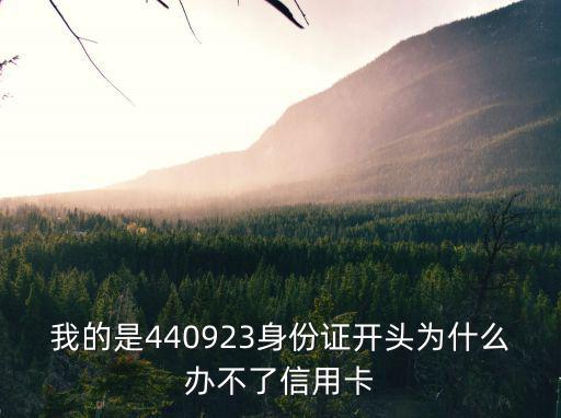 我的是440923身份證開頭為什么辦不了信用卡