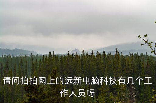 請問拍拍網上的遠新電腦科技有幾個工作人員呀