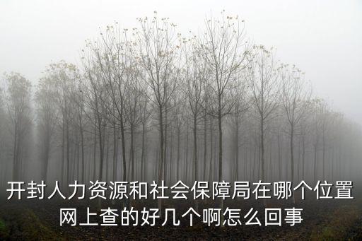 開封人力資源和社會保障局在哪個位置網上查的好幾個啊怎么回事