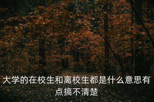 高校在校生，高等學歷教育資格的高校在校生是什么意思是指復讀生嗎