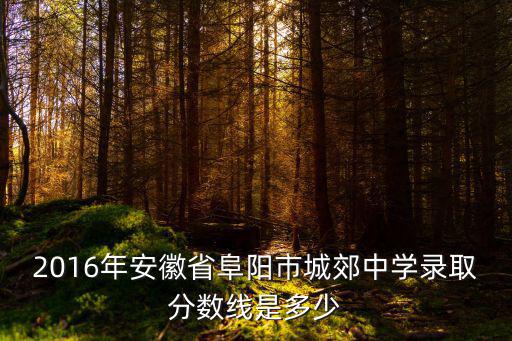 2016年安徽省阜陽市城郊中學錄取分數線是多少